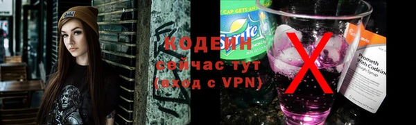 крисы Горняк
