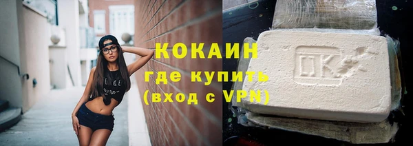 крисы Горняк