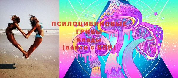 стафф Горно-Алтайск