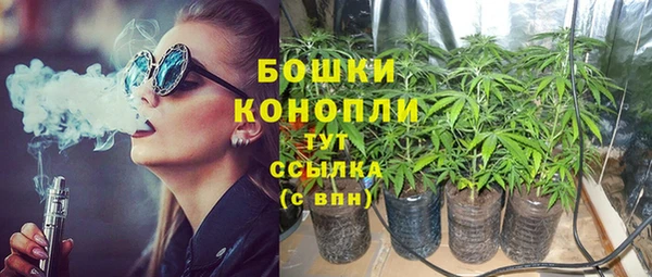 крисы Горняк