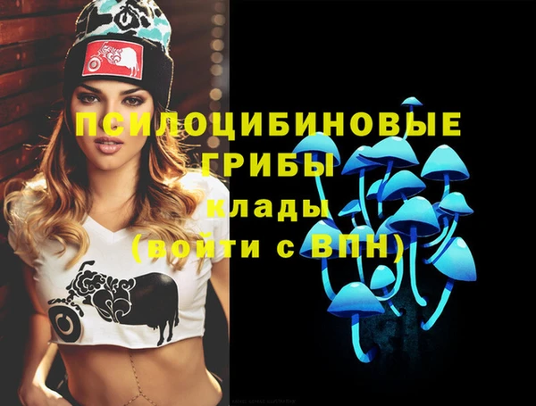 крисы Горняк