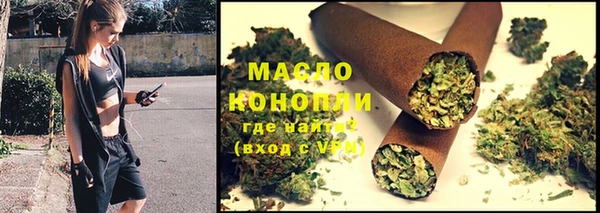 крисы Горняк