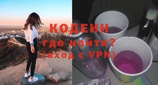 крисы Горняк