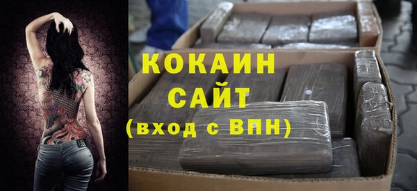 крисы Горняк