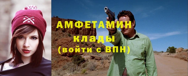 крисы Горняк