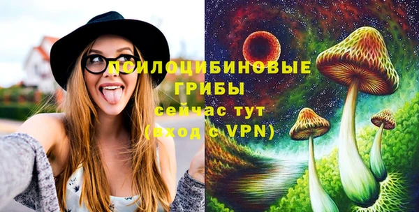 крисы Горняк