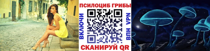 Псилоцибиновые грибы Psilocybine cubensis  Чухлома 